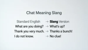 Chat Meaning Slang