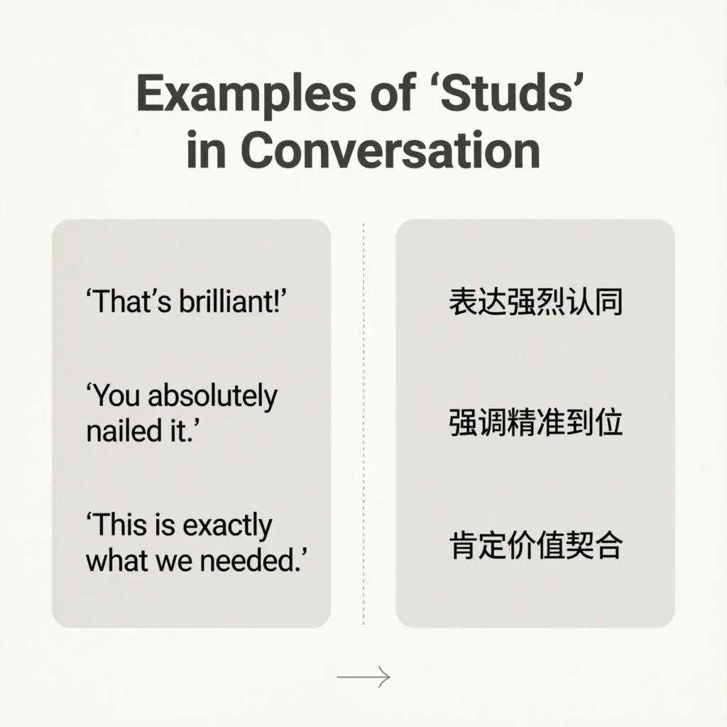 Examples of “Studs” in Conversation
