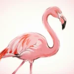 Flamingo Meaning Slang