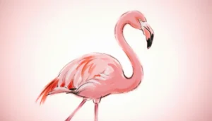 Flamingo Meaning Slang