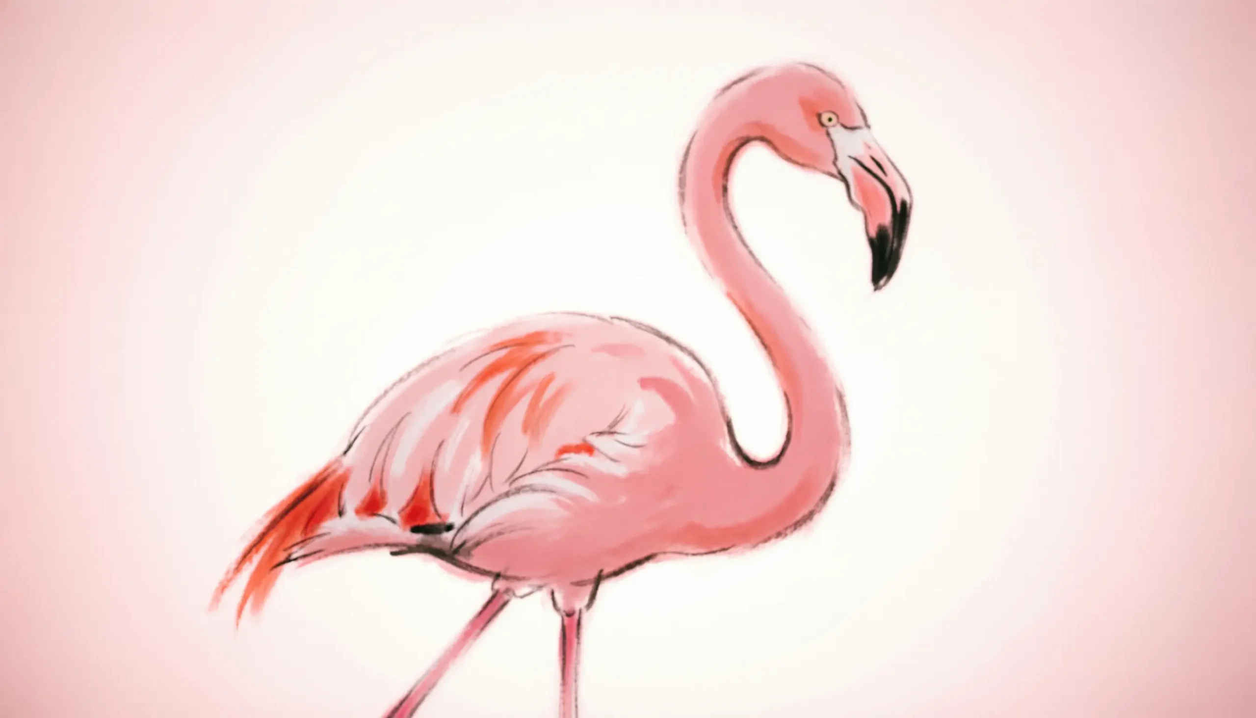 Flamingo Meaning Slang