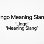 Lingo Meaning Slang