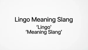Lingo Meaning Slang
