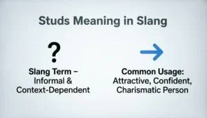 Studs Meaning in Slang